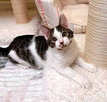 Photo of Duncan