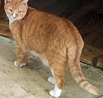 Photo of SWEETUMS