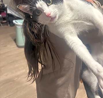 Photo of Oliver