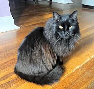 Photo of ClawDeena