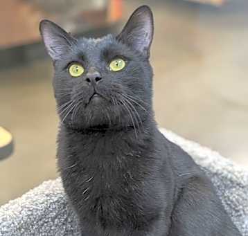Photo of Mr. Handsome