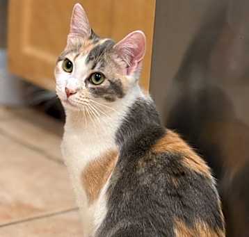 Photo of Matilde