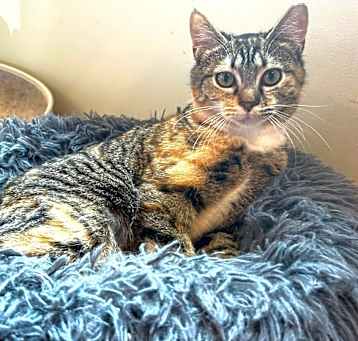Photo of Mia