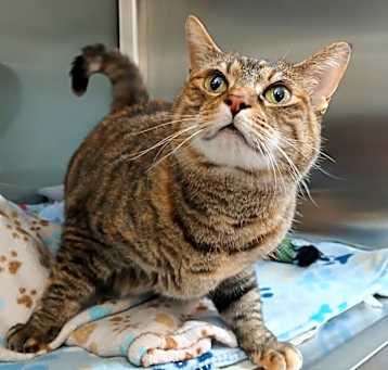 Photo of Twyla