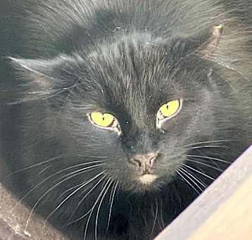 Photo of Luther