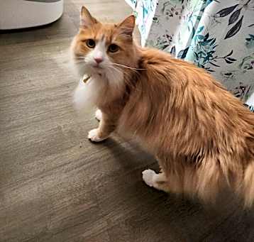 Photo of Sylvious