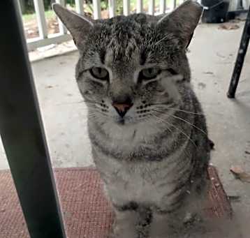 Photo of Purdie