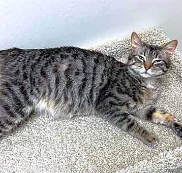 Photo of MAVIE