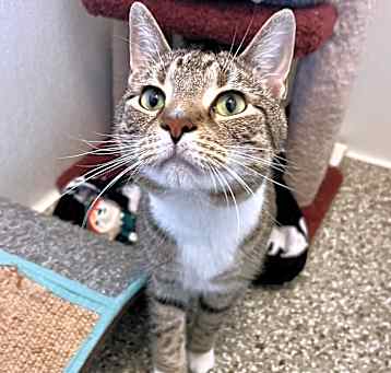 Photo of Odie