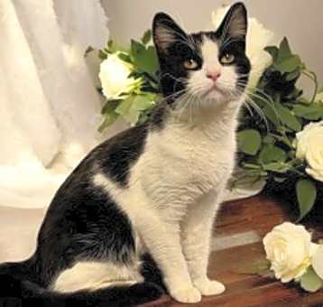 Photo of Lena 124514