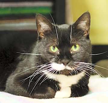Photo of Nellie