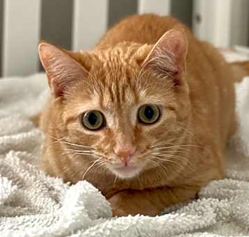Photo of Jenny