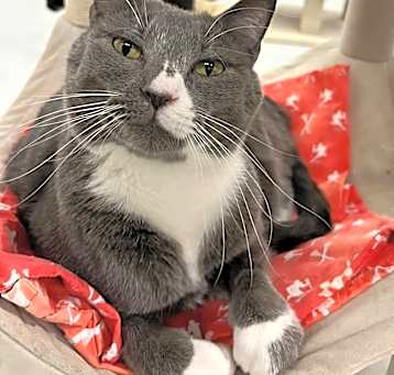 Photo of Lucky
