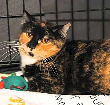 Photo of SABRINA
