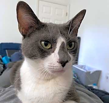 Photo of Anakin