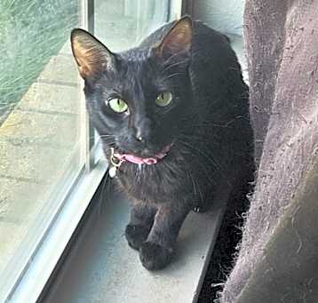 Photo of Zara