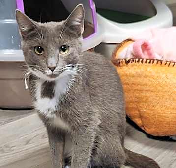 Photo of Winkin