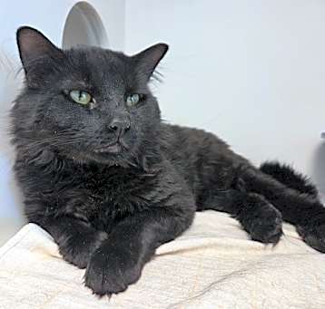 Photo of Zero