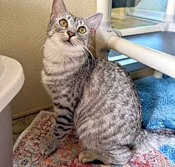 Photo of Sugar