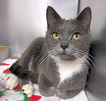 Photo of Esmeralda