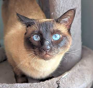 Photo of CiCi 