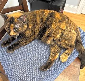 Photo of Molly