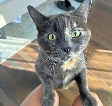 Photo of Lucy