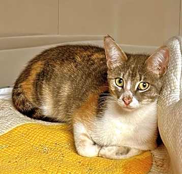 Photo of Cleo