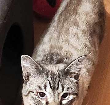 Photo of Luxor