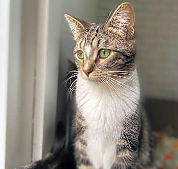 Photo of Jack