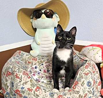 Photo of Mr. Claws