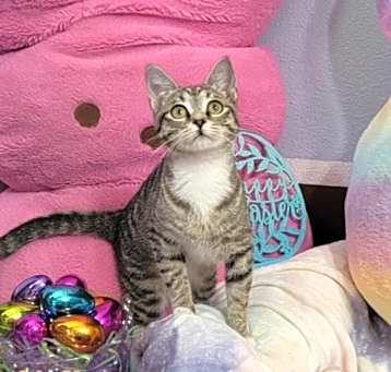 Photo of Cindy Lou Hoo