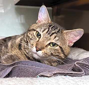 Photo of SPARKY