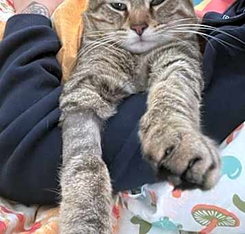 Photo of Finlay