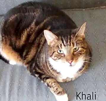 Photo of Khali sweet healthy senior