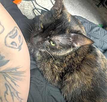Photo of Jezebel