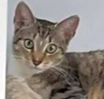 Photo of Kat