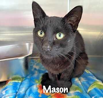 Photo of Mason