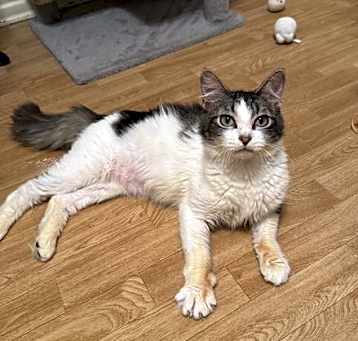 Photo of Wobbles