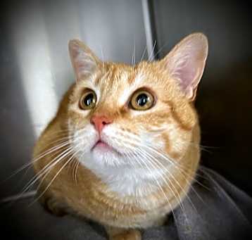Photo of Olivia