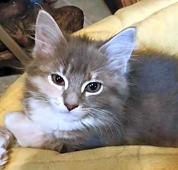 Photo of Maxine