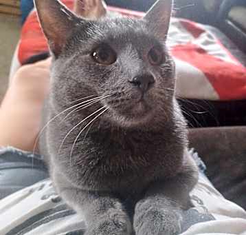 Photo of Stryker