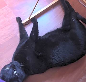 Photo of Sabrina