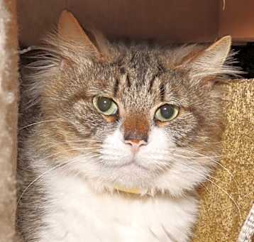 Photo of Jasper