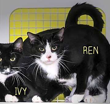 Photo of Ren