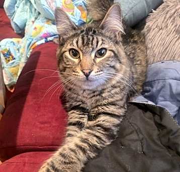 Photo of Silver