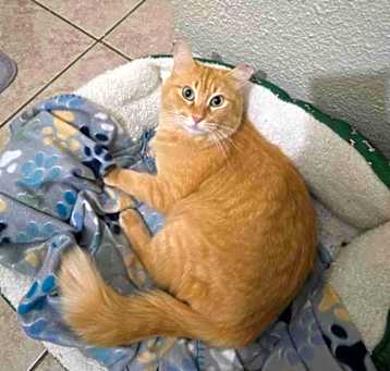Photo of Sherbie