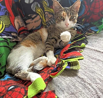 Photo of Bella