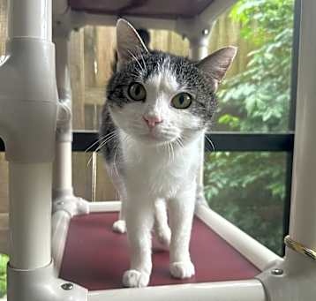 Photo of Willy