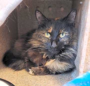 Photo of Fiona